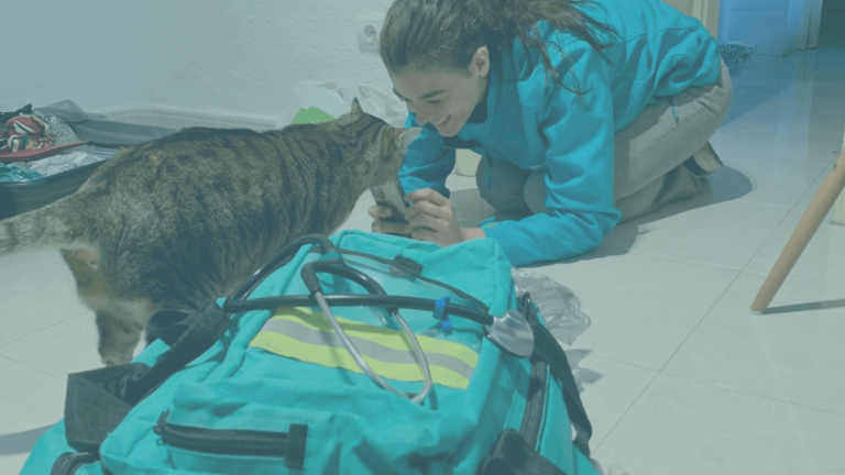 Veterinario a domicilio para protectoras: Precios reducidos y ventajas exclusivas