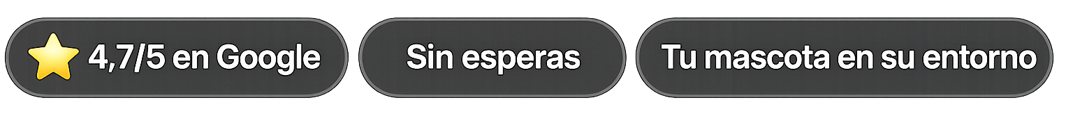 CreatividadesImagenes Web 11 v2 e1775838848580