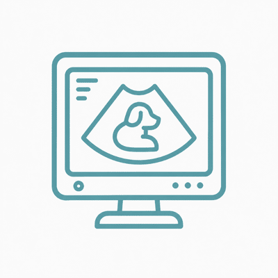 ecografias web
