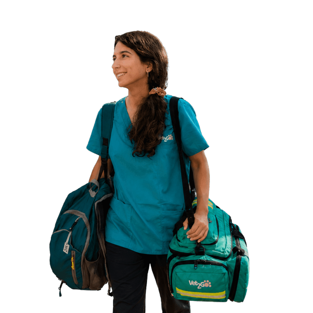 lp servicios y tarifas